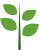 A medium green vertical branch with four lighter green leaves