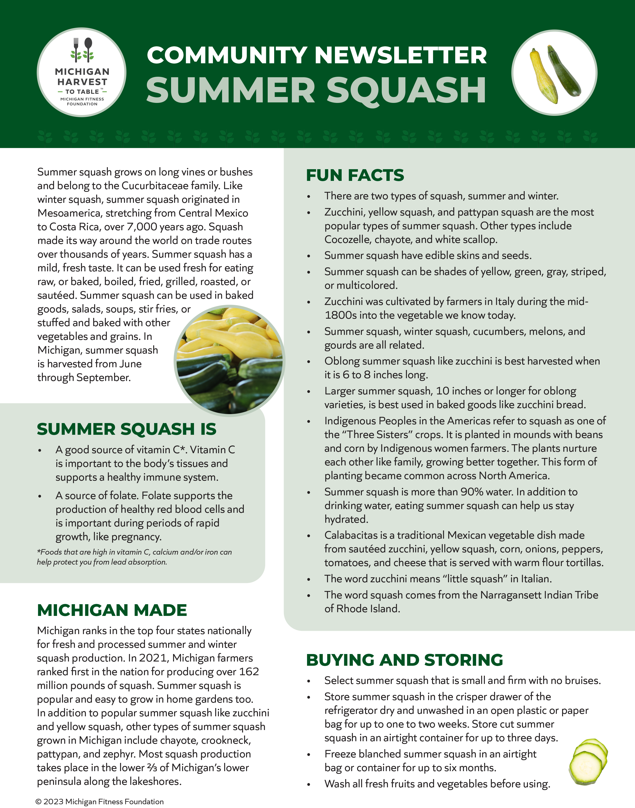 summer-squash-michigan-harvest-to-table