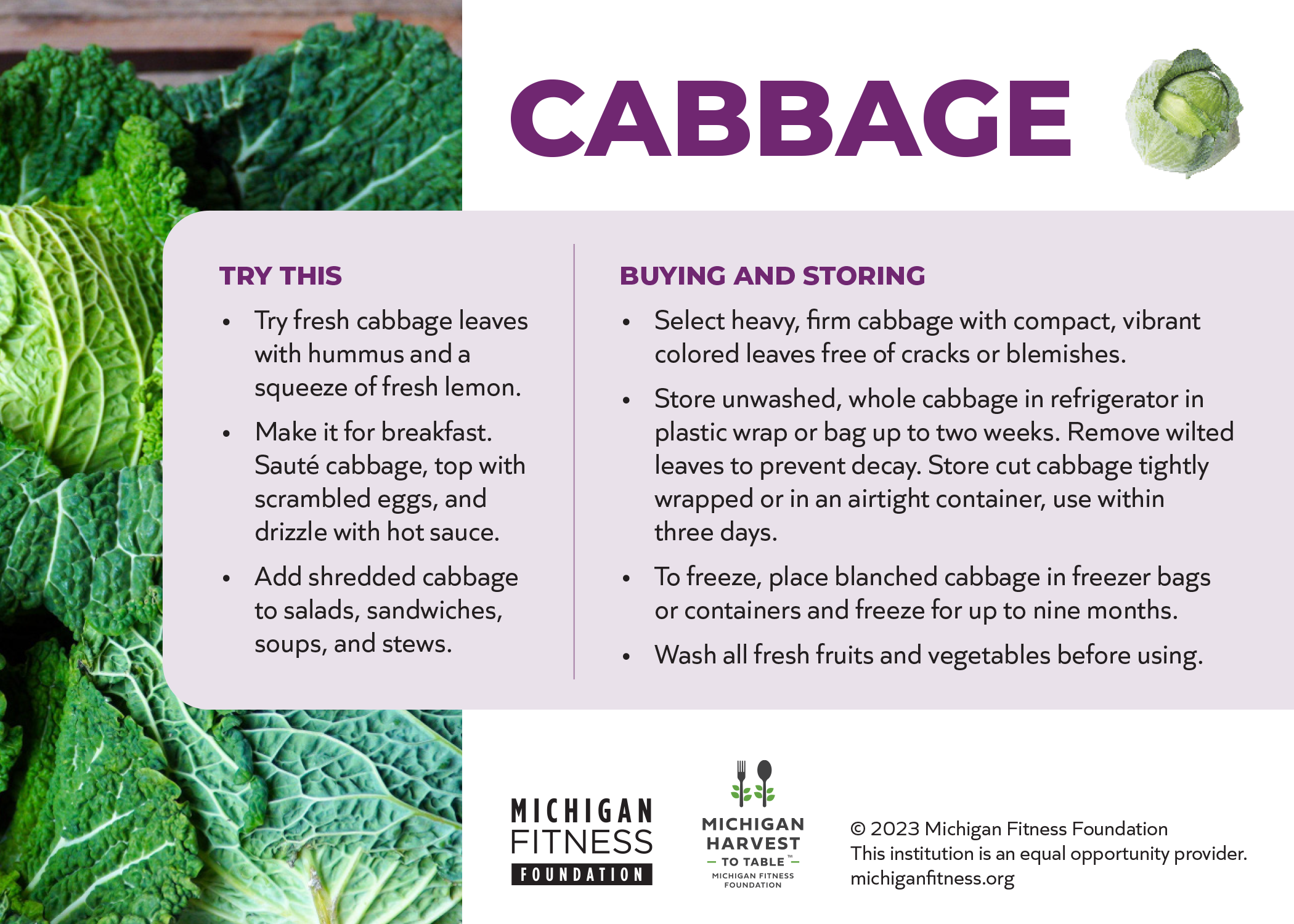 Cabbage Recipe Card