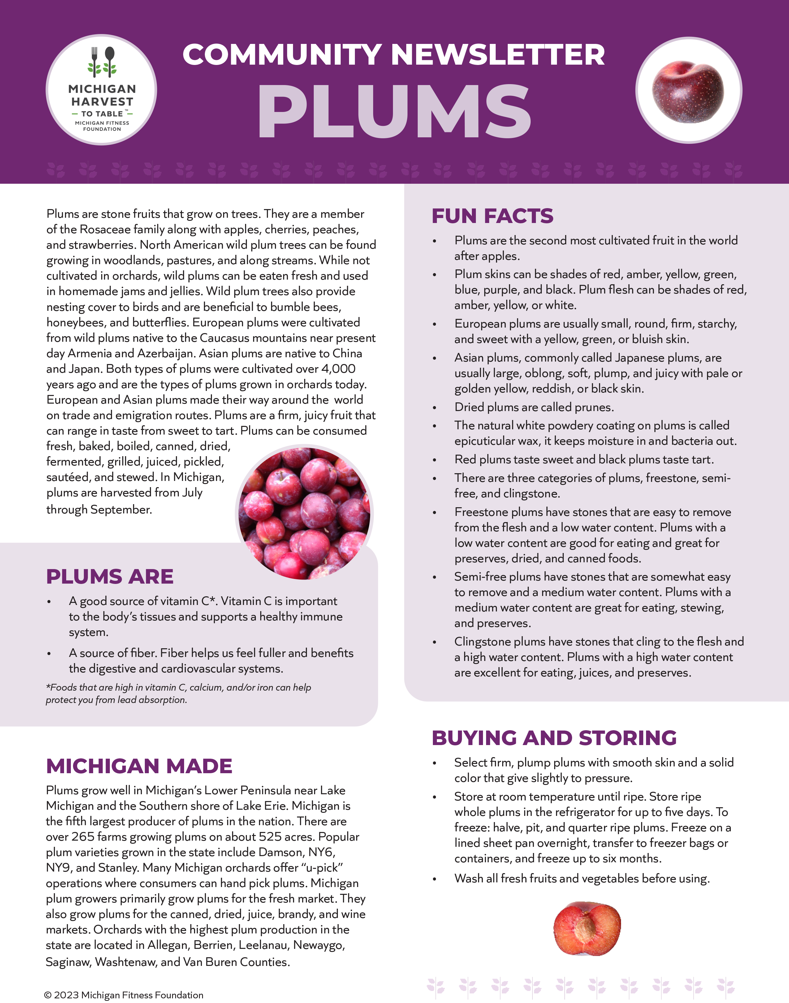 Plums Michigan Harvest to Table