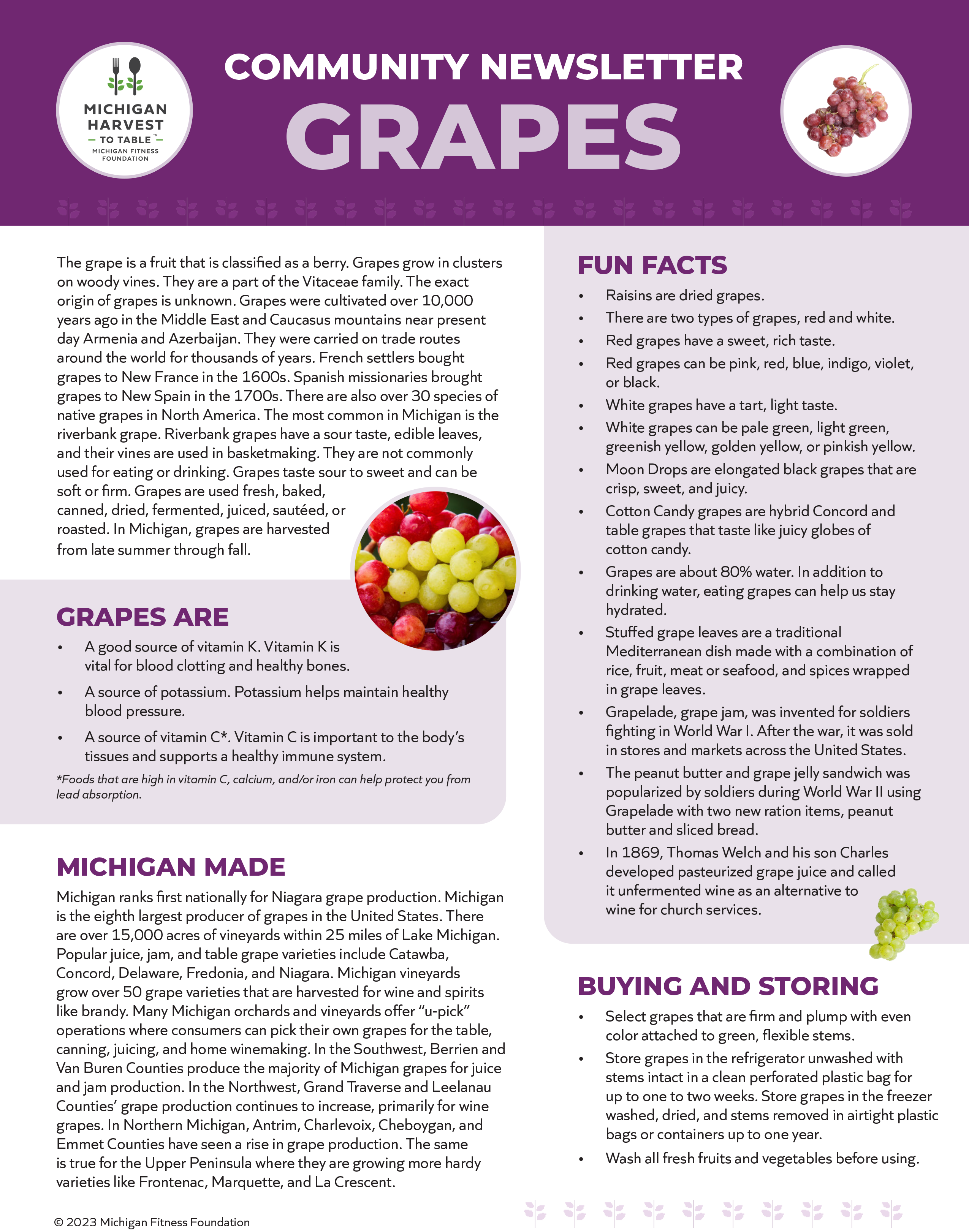 Grapes - Michigan Harvest to Table