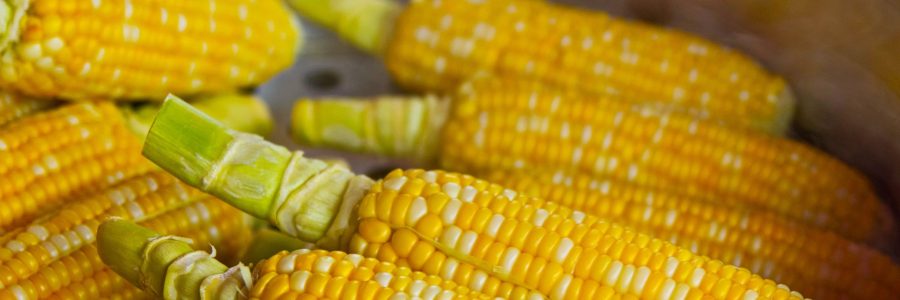 corn-pop-corn-785074